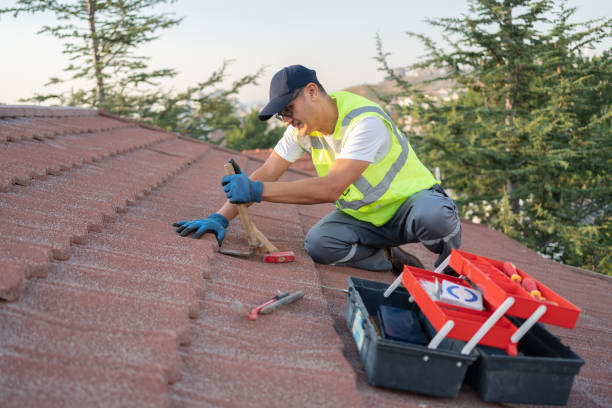 Best Storm Damage Roof Repair  in Hanover Park, IL