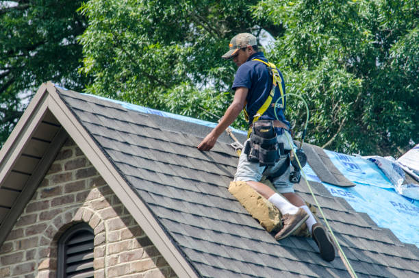 Best Roof Restoration Services  in Hanover Park, IL
